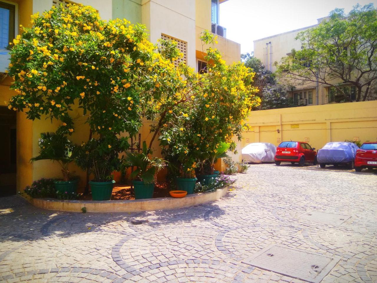 Beach Penthouse, Chennai Bed and Breakfast Exteriör bild